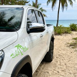 Signature Palm Tree Decal