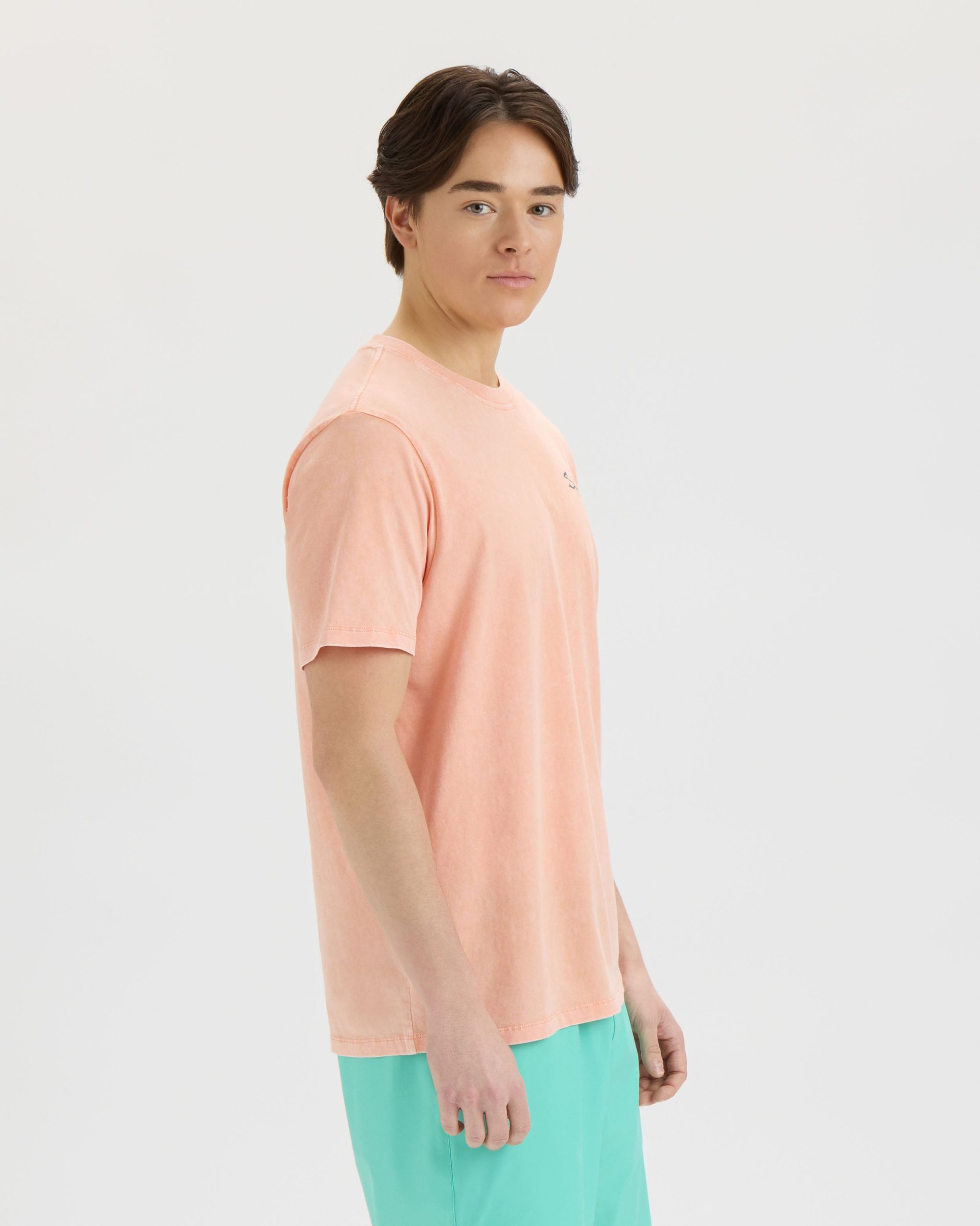 Men's Pin Up Salt Wash Tee - Image 3